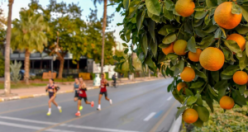 7. Uluslararası konya Maratonu Heyecanı Başlıyor: Kayıtlar İçin Son Gün 10 Aralık!